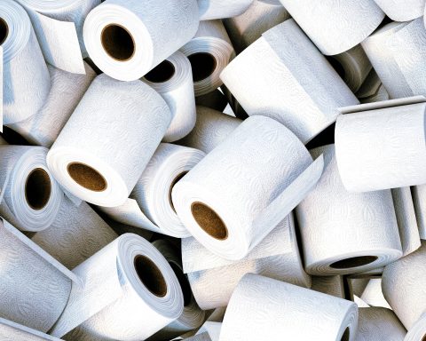 The Potty Training Guide